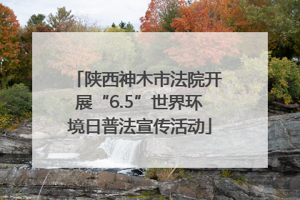 陕西神木市法院开展“6.5”世界环境日普法宣传活动