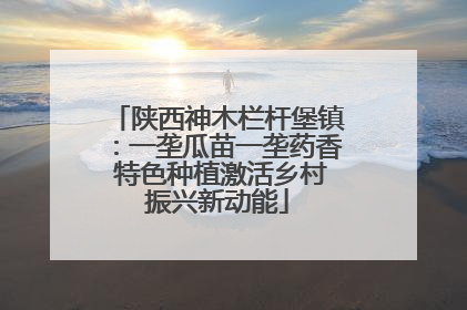 陕西神木栏杆堡镇：一垄瓜苗一垄药香 特色种植激活乡村振兴新动能