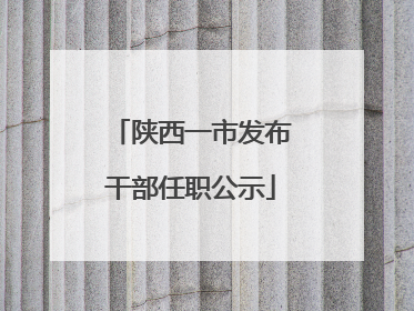 陕西一市发布干部任职公示