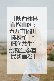 陕西榆林市横山区：五万亩稻田插秧忙 “稻渔共生”绘就生态富民新画卷