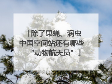 除了果蝇、涡虫 中国空间站还有哪些“动物航天员”