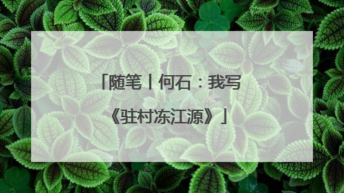 随笔丨何石：我写《驻村冻江源》