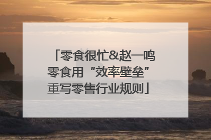 零食很忙&赵一鸣零食用“效率壁垒”重写零售行业规则