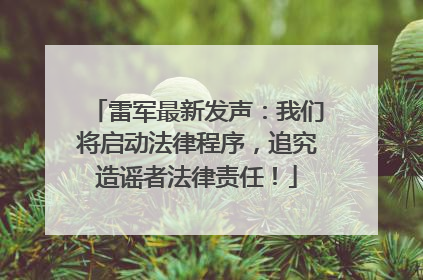 雷军最新发声：我们将启动法律程序，追究造谣者法律责任！