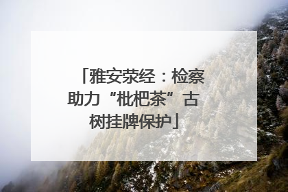 雅安荥经：检察助力“枇杷茶”古树挂牌保护