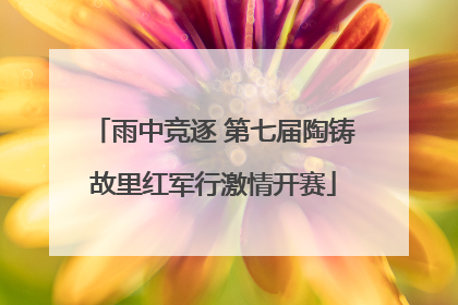雨中竞逐 第七届陶铸故里红军行激情开赛