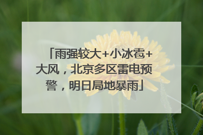 雨强较大+小冰雹+大风，北京多区雷电预警，明日局地暴雨