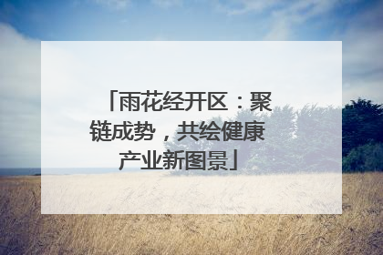 雨花经开区：聚链成势，共绘健康产业新图景