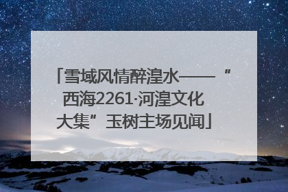 雪域风情醉湟水——“西海2261·河湟文化大集”玉树主场见闻