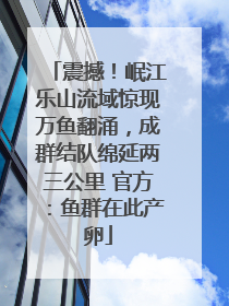 震撼！岷江乐山流域惊现万鱼翻涌，成群结队绵延两三公里 官方：鱼群在此产卵