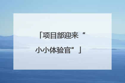 项目部迎来“小小体验官”