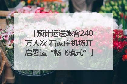 预计运送旅客240万人次 石家庄机场开启暑运“畅飞模式”