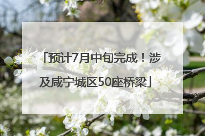 预计7月中旬完成！涉及咸宁城区50座桥梁