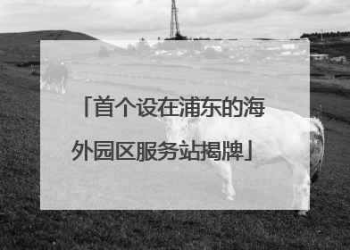 首个设在浦东的海外园区服务站揭牌