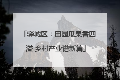 驿城区：田园瓜果香四溢 乡村产业谱新篇