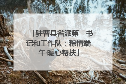 驻曹县省派第一书记和工作队：粽情端午·暖心帮扶