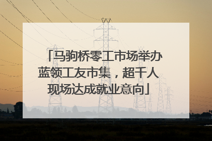 马驹桥零工市场举办蓝领工友市集，超千人现场达成就业意向