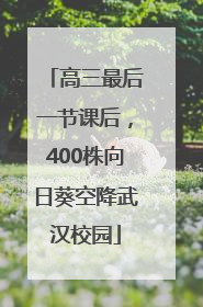 高三最后一节课后，400株向日葵空降武汉校园