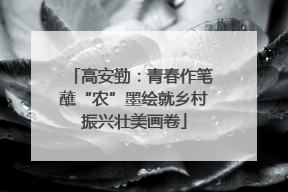 高安勤：青春作笔蘸“农”墨绘就乡村振兴壮美画卷