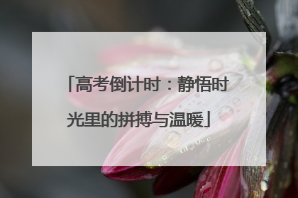 高考倒计时：静悟时光里的拼搏与温暖