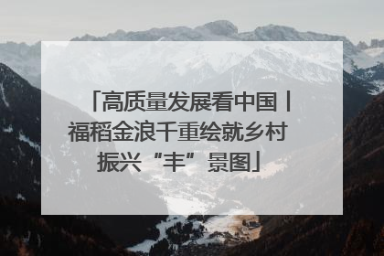 高质量发展看中国丨福稻金浪千重绘就乡村振兴“丰”景图