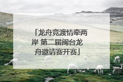 龙舟竞渡情牵两岸 第二届闽台龙舟邀请赛开赛