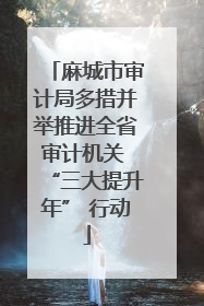 麻城市审计局多措并举推进全省审计机关 “三大提升年” 行动