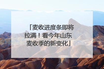 麦收进度条即将拉满！看今年山东麦收季的新变化