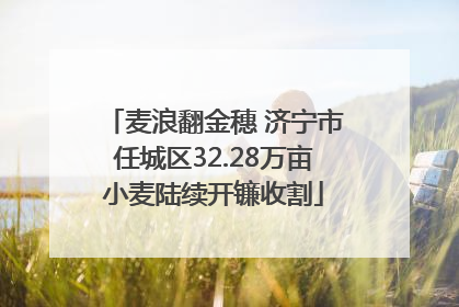 麦浪翻金穗 济宁市任城区32.28万亩小麦陆续开镰收割