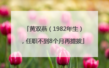 黄双燕（1982年生），任职不到8个月再提拔