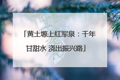 黄土塬上红军泉：千年甘甜水 浇出振兴路