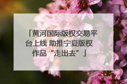 黄河国际版权交易平台上线 助推宁夏版权作品“走出去”