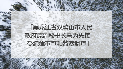 黑龙江省双鸭山市人民政府原副秘书长马为先接受纪律审查和监察调查