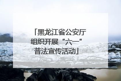黑龙江省公安厅组织开展“六一”普法宣传活动