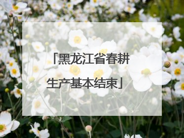 黑龙江省春耕生产基本结束