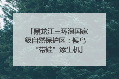 黑龙江三环泡国家级自然保护区：候鸟“带娃”添生机
