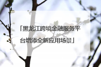 黑龙江跨境金融服务平台增添全新应用场景