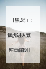 黑龙江：狮虎进入繁殖高峰期