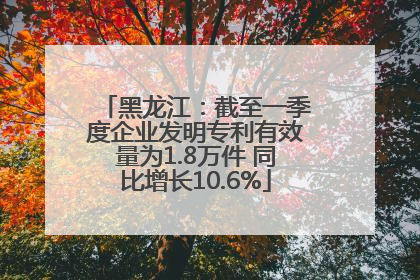 黑龙江：截至一季度企业发明专利有效量为1.8万件 同比增长10.6%