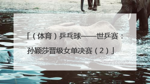 （体育）乒乓球——世乒赛：孙颖莎晋级女单决赛（2）
