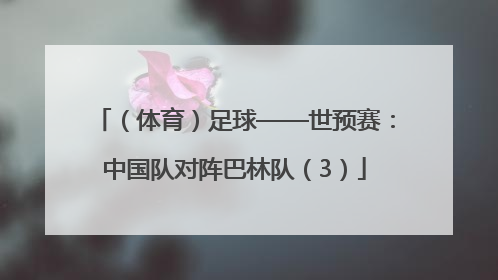 （体育）足球——世预赛：中国队对阵巴林队（3）