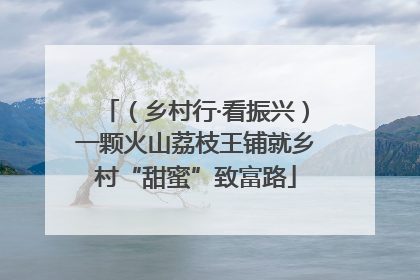 （乡村行·看振兴）一颗火山荔枝王铺就乡村“甜蜜”致富路