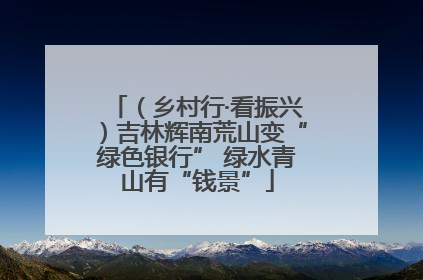 （乡村行·看振兴）吉林辉南荒山变“绿色银行” 绿水青山有“钱景”