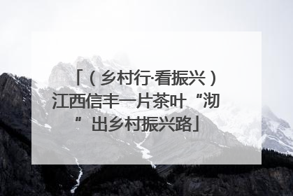 （乡村行·看振兴）江西信丰一片茶叶“沏”出乡村振兴路