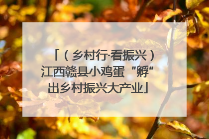 （乡村行·看振兴）江西赣县小鸡蛋“孵”出乡村振兴大产业