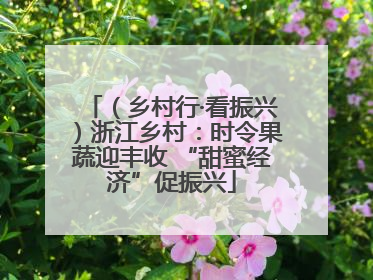 （乡村行·看振兴）浙江乡村：时令果蔬迎丰收 “甜蜜经济”促振兴