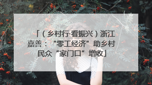 （乡村行·看振兴）浙江嘉善：“零工经济”助乡村民众“家门口”增收