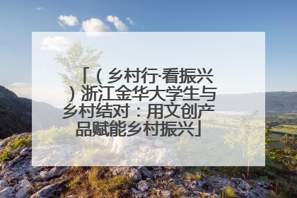 （乡村行·看振兴）浙江金华大学生与乡村结对：用文创产品赋能乡村振兴