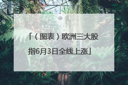 （图表）欧洲三大股指6月3日全线上涨