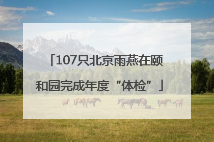 107只北京雨燕在颐和园完成年度“体检”